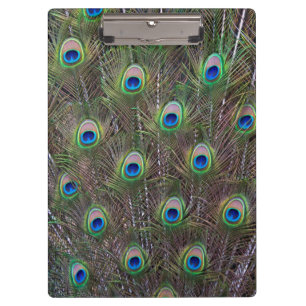 Porte-bloc Presse-papiers paon