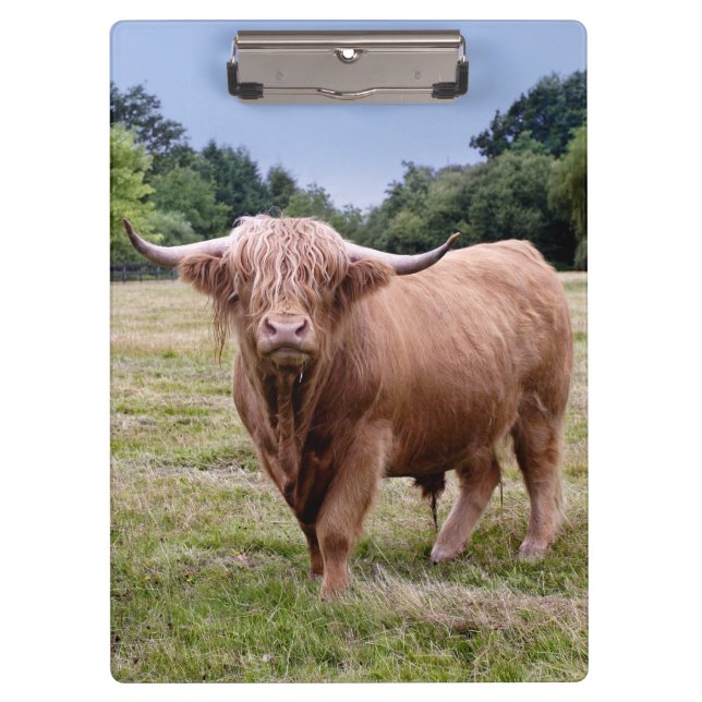 Porte-bloc Presse-papiers Vache des Highlands (Devant)