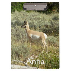 Porte-bloc Pronghorn au Parc national de Grand Teton
