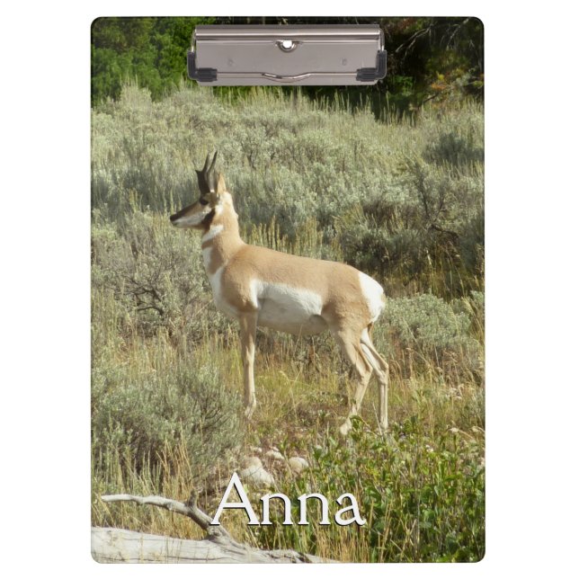 Porte-bloc Pronghorn au Parc national de Grand Teton (Devant)