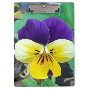 Porte-bloc Purple et Yellow Pany
