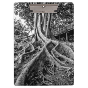 Porte-bloc Racines massives de caoutchouc