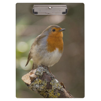 Porte-bloc Robin