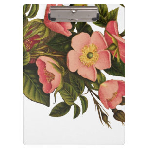 Porte-bloc Roses Anciennes Jolies Roses Botaniques Roses