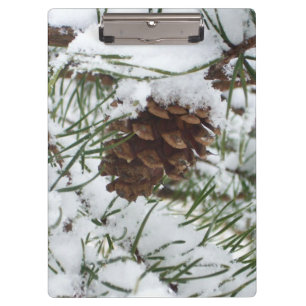 Porte-bloc Snowy Pine Cone I