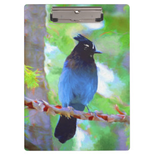 Porte-bloc Steller's Jay Painting - Art original pour oiseaux
