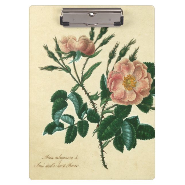 Porte-bloc Sweet Briar Rose (Devant)