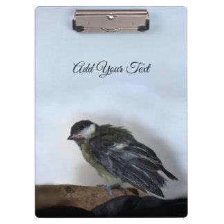 Porte-bloc Tidi my Bird le Parus Major