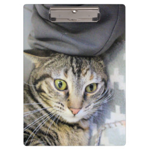 Porte-bloc Tigre
