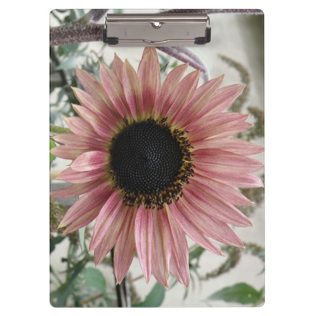 Porte-bloc Tournesol rose pâle (Devant)