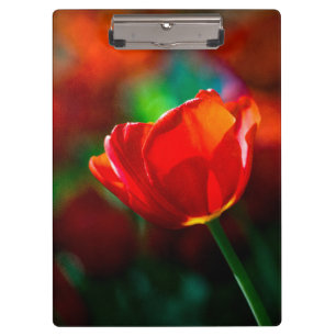 Porte-bloc Tulipe rouge - Mystère de floraison