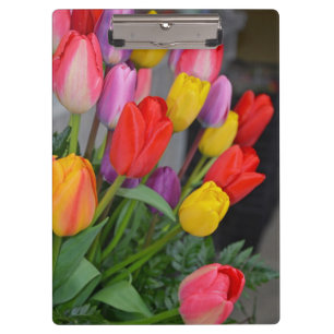 Porte-bloc Tulipes à ressort colorées