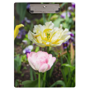 Porte-bloc Tulipes blanches, roses et jaunes dans le jardin