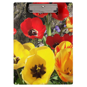 Porte-bloc Tulipes jaunes et rouges