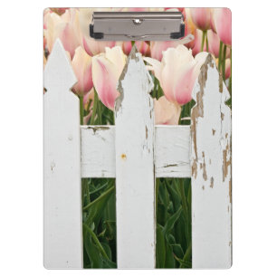 Porte-bloc tulipes roses et ancienne clôture