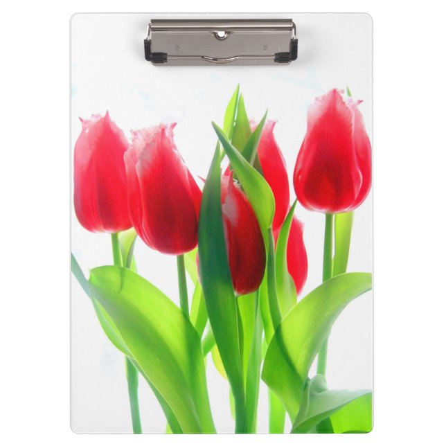 Porte-bloc Tulipes rouges sur blanc (Devant)