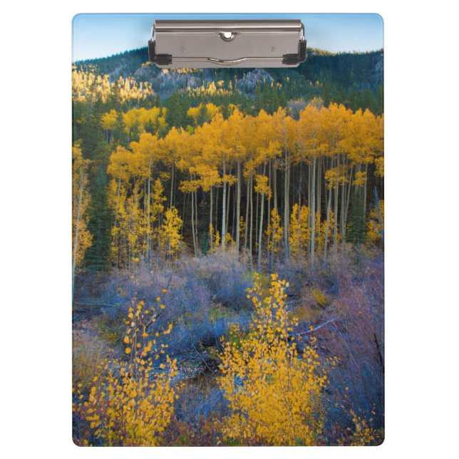 Porte-bloc USA, Colorado. Bright Yellow Aspens in Rockies (Devant)