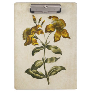 Porte-bloc Vintage florale St. John's Wort