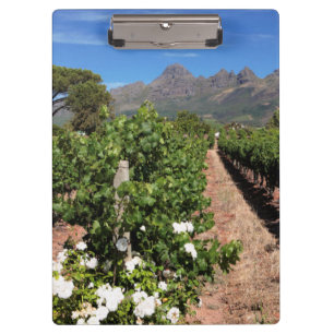 Porte-bloc Vue des vignobles. Stellenbosch
