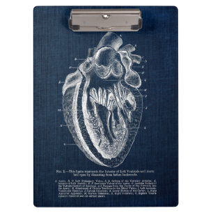 Porte-bloc Vue intérieure de l'anatomie du coeur humain