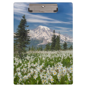 Porte-bloc Washington, Parc national du mont Rainier 1