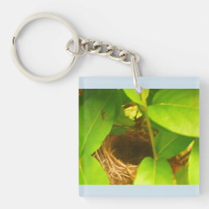 Porte - clé acrylique bleu de nid de colibri