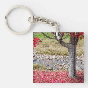 Porte - clé acrylique de l'arbre d'automne rouge
