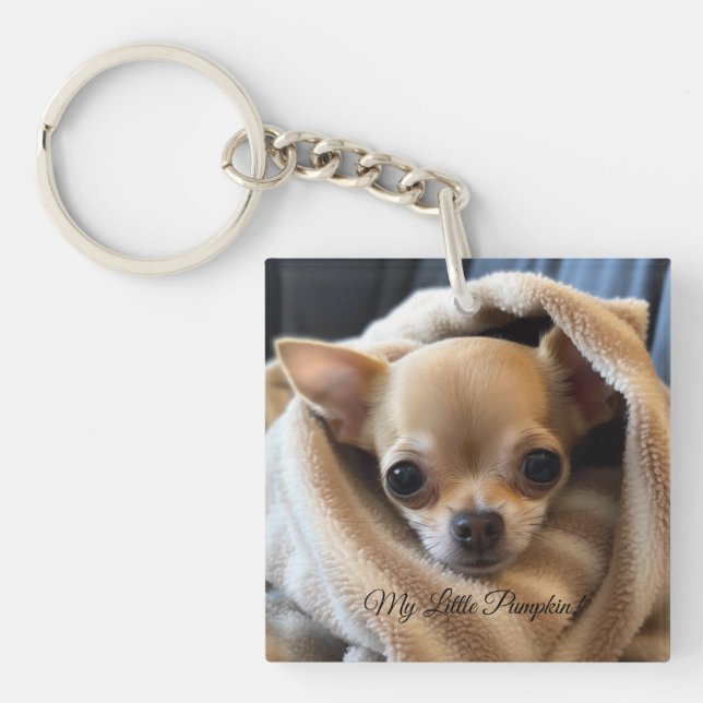 Porte - clé Amoureux des chiens customisé (Devant)