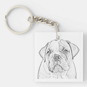 Porte - clé - Bulldog anglais