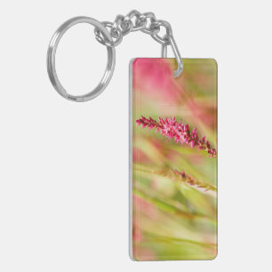porte - clé colorbush