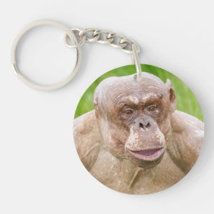 Porte - clé d'aimant Chimpanzé sans cheveux