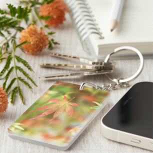 Porte - clé de champ d'automne