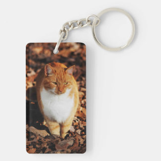 Porte - clé de chat tigré de gingembre
