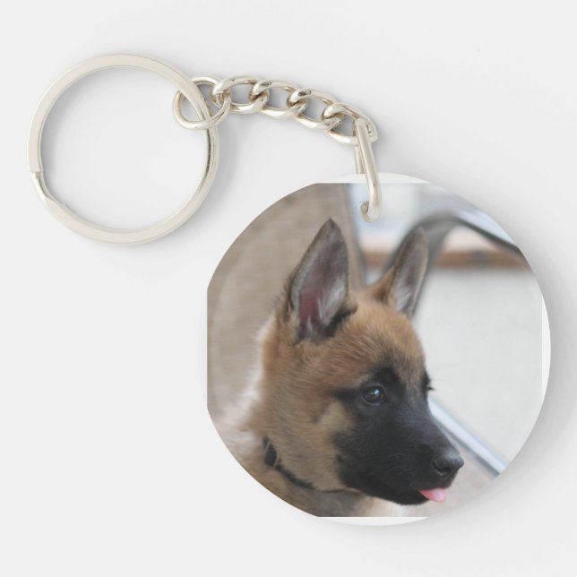 Porte - clé de chiot de Malinois de Belge (Devant)