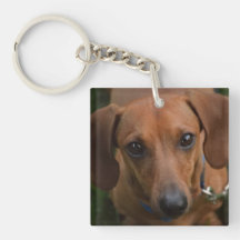 Porte - clé de Dachshund