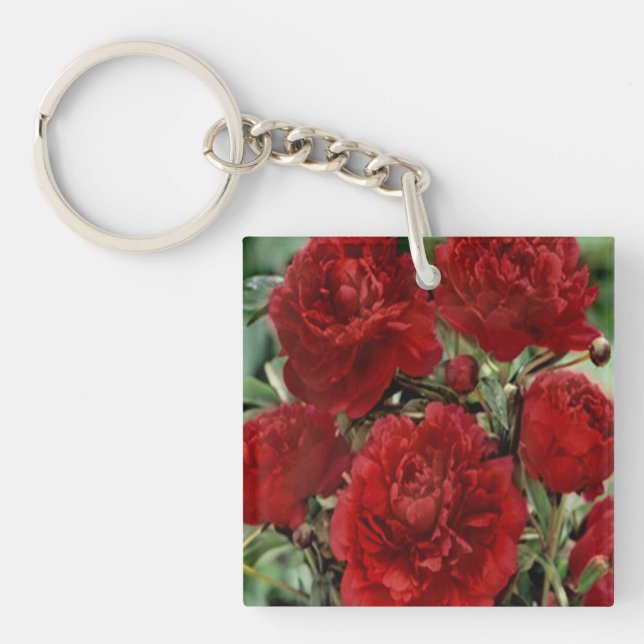 Porte - clé de fleurs de carnation rouge (Devant)