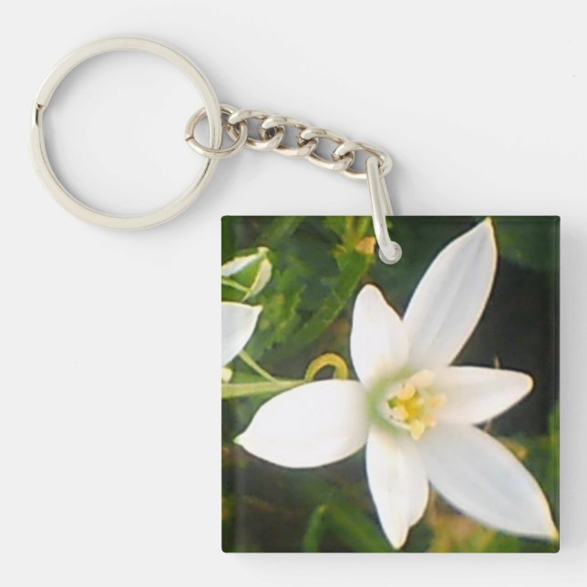 Porte - clé de fleurs du printemps blanc (Devant)
