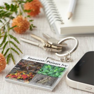 Porte - clé de lierre de poison