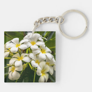Porte - clé de Plumeria de l'île exotique