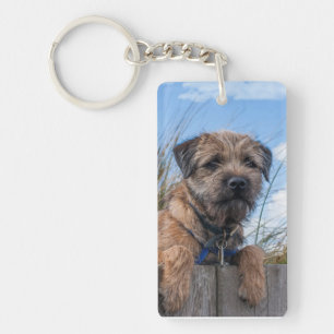 Porte - clé de Terrier de frontière