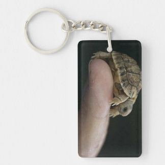 Porte - clé de tortue