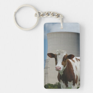 Porte - clé de tour de refroidissement de la vache