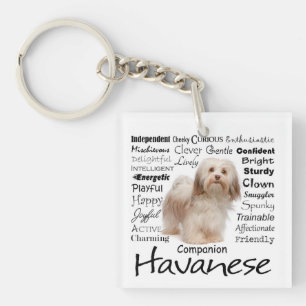 Porte - clé de traits de Havanese