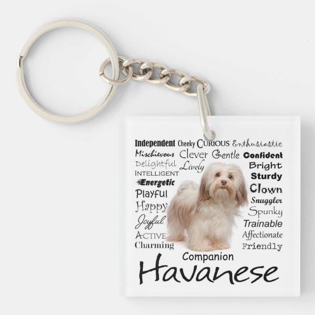 Porte - clé de traits de Havanese (Devant)
