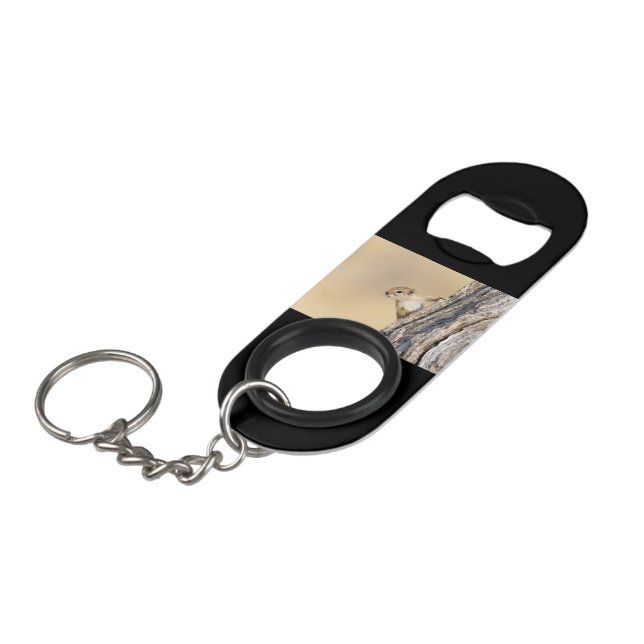 Porte-clé Décapsuleur Écureuil (Devant Angle)