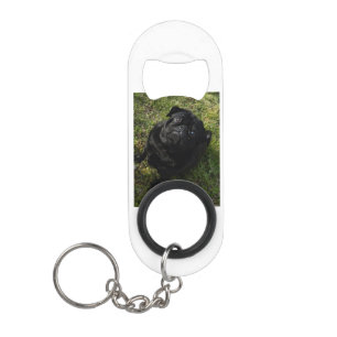 Porte-clé Décapsuleur noir-carlin full.png