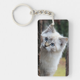 Porte - clé mignon de Kitty