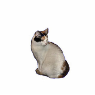 Porte-clé Photo Sculpture Calico Cat
