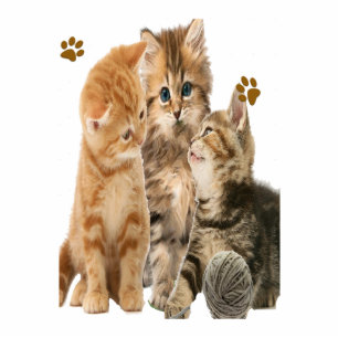 Porte-clé Photo Sculpture Chats