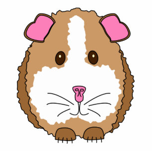 Porte-clé Photo Sculpture Cobaye Brown